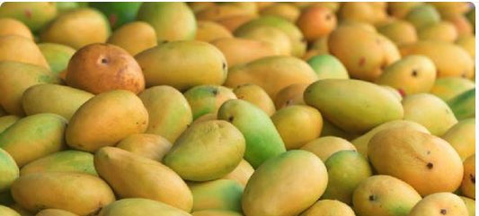 Kesar Mangoes