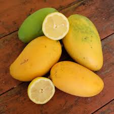 Lemon Zest